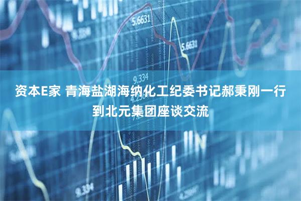 资本E家 青海盐湖海纳化工纪委书记郝秉刚一行到北元集团座谈交流