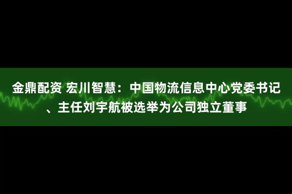 金鼎配资 宏川智慧:中国物流信息中心党委书记、主任刘宇航被选举为公司独立董事