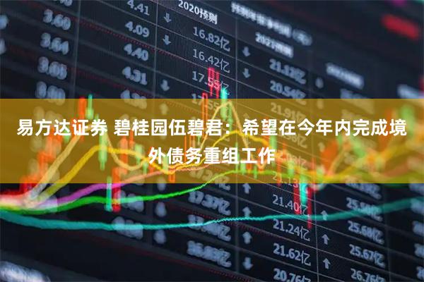 易方达证券 碧桂园伍碧君：希望在今年内完成境外债务重组工作